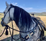 Bishop Bosal Hanger Headstall