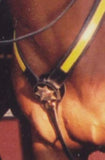 Mounted Officer Breast Collar