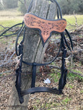 Halter-Combo Headstall Bridle