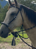 Black Beauty Concha Hackamore Set