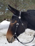 Dana Lovell Signature Headstall