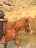 Rolled Nose Sidepull Bitless Bridle