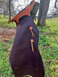 Batwing Leather Chaps