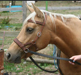 Farah DeJohnette Signature Bitless Bridle