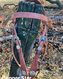Big Cactus Headstall, Hermann Oak® Leather