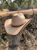 The El Dorado Palm Leaf Style