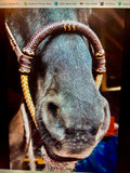 Bosal Rawhide Vaquero Style- Soft Nose 2-Tone
