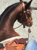 Bitless Bridle Sidepull