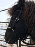 Loping Soft Nose Hackamore Set