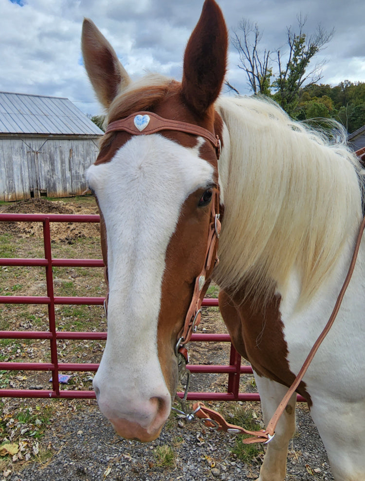 Buckaroo Old West SilverConchas Style Bridle Set Buckaroo Leather