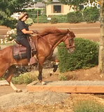 Rolled Nose Sidepull Bitless Bridle