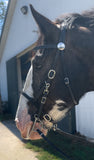 Halter-Combo Headstall Bridle