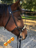 Buckaroo Sidepull Headstall with Rawhide Nose