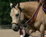 Bishop Bosal Hanger Headstall