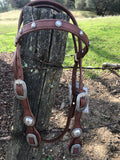 Harness Headstall Old Visalia Style Conchas