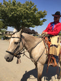 Black Beauty Concha Hackamore Set