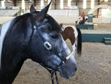 Loping Soft Nose Hackamore Set