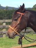 A Hackamore Set with Fiador & Mecate