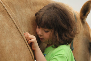 Wild Hearts Equine Therapy