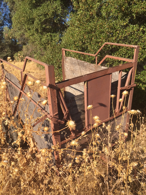 The History of the Modern Horse Trailer