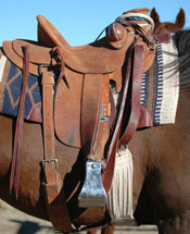 Rough-Out Saddles and Horse Tack What is It?