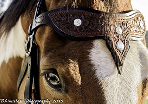 Slide Ear and Browband Headstalls