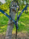 Antique Turquoise Headstall and Breast Collar Set