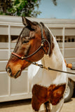 A Deluxe Rope Halter w/Lead