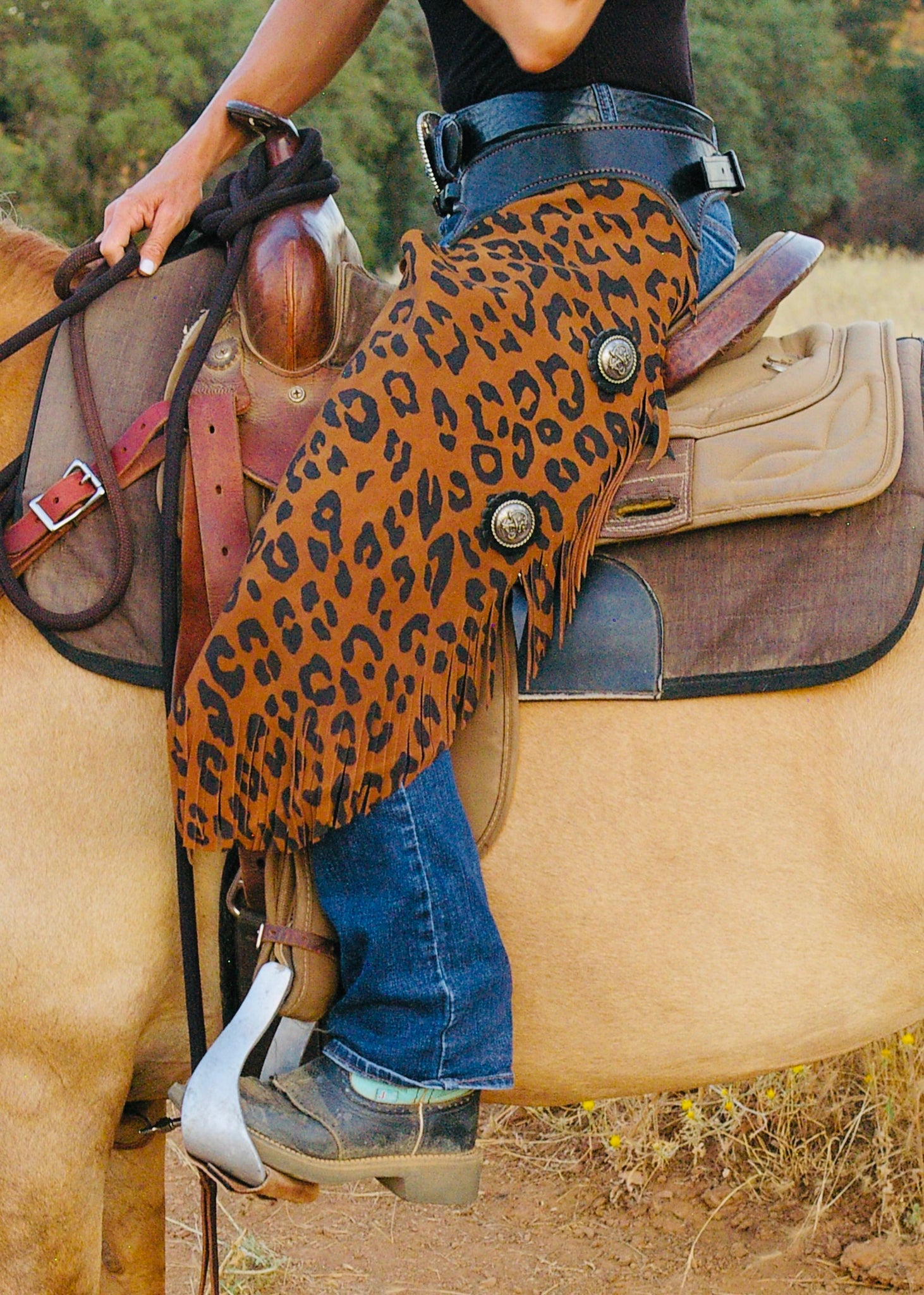 Hackamore Acier Chromé Poney, Cheval avec Muserolle Cuir Hackamore Acier Chromé Poney, Cheval avec Muserolle Cuir