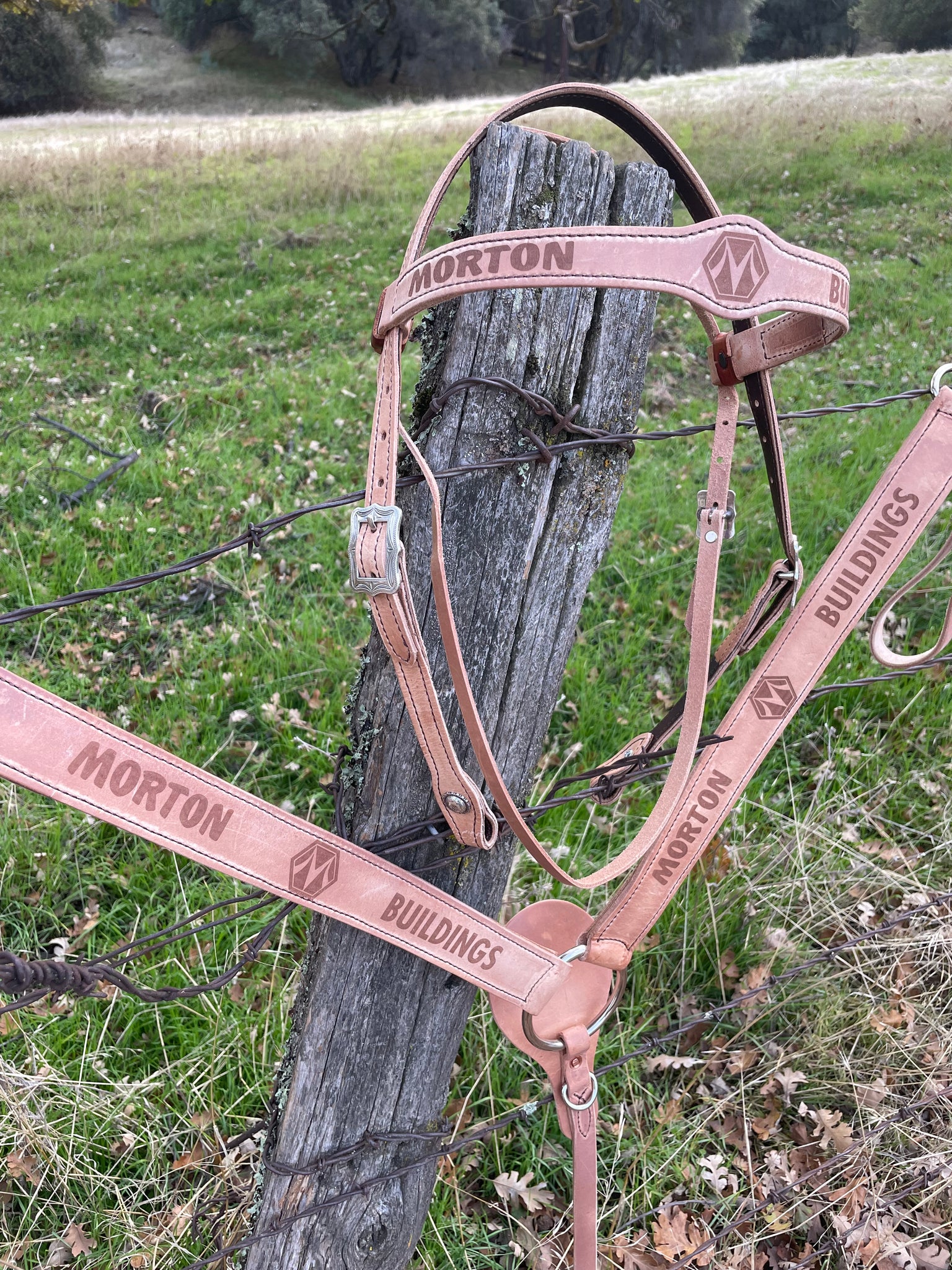 Custom Tack Branded With Your Brand Or Logo – Buckaroo Leather Products