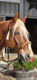 Bishop Bosal Hanger Headstall