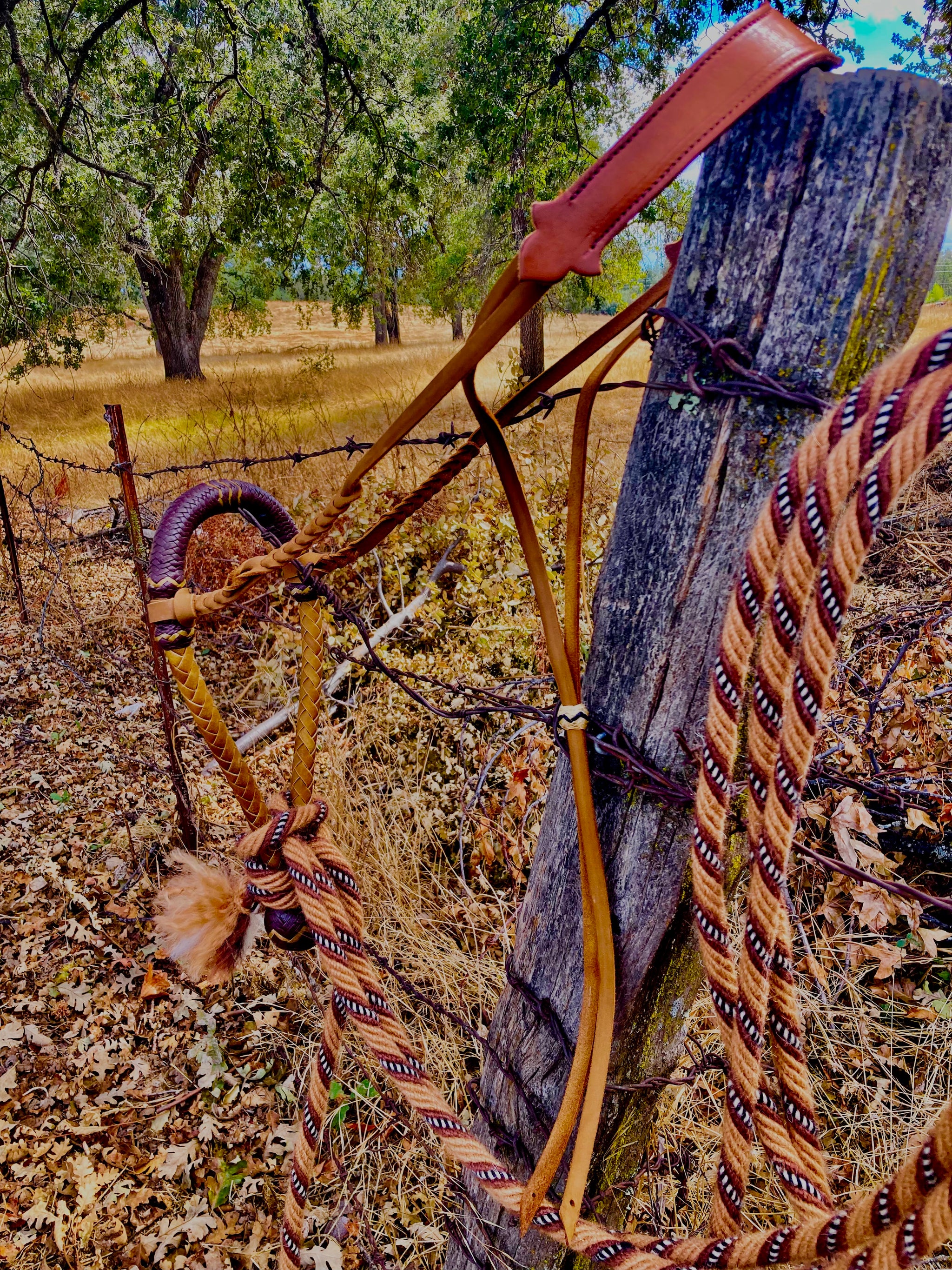 Bosal Rawhide Vaquero Style- All Natural – Buckaroo Leather