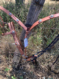 Custom Breast Collars