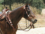 Buckaroo Style Harness Headstall and Rein Set