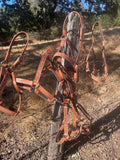 Award Halters