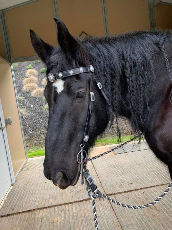A Vintage Bridle/Breast Collar Set – Buckaroo Leather Products