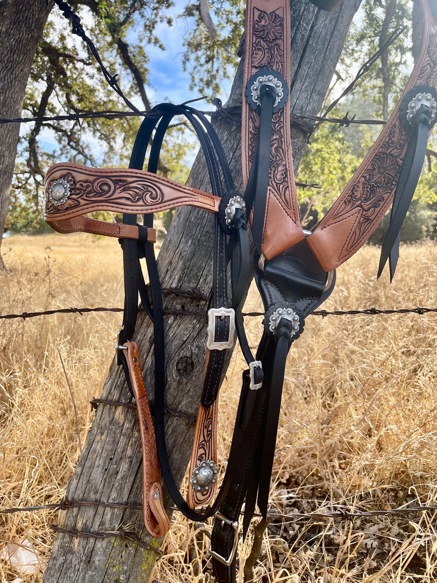 Converting a Horse Bridle for Use on a Human Converting a Horse Bridle for Use on a Human