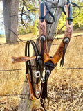 Harness Headstall Old Visalia Style Conchas