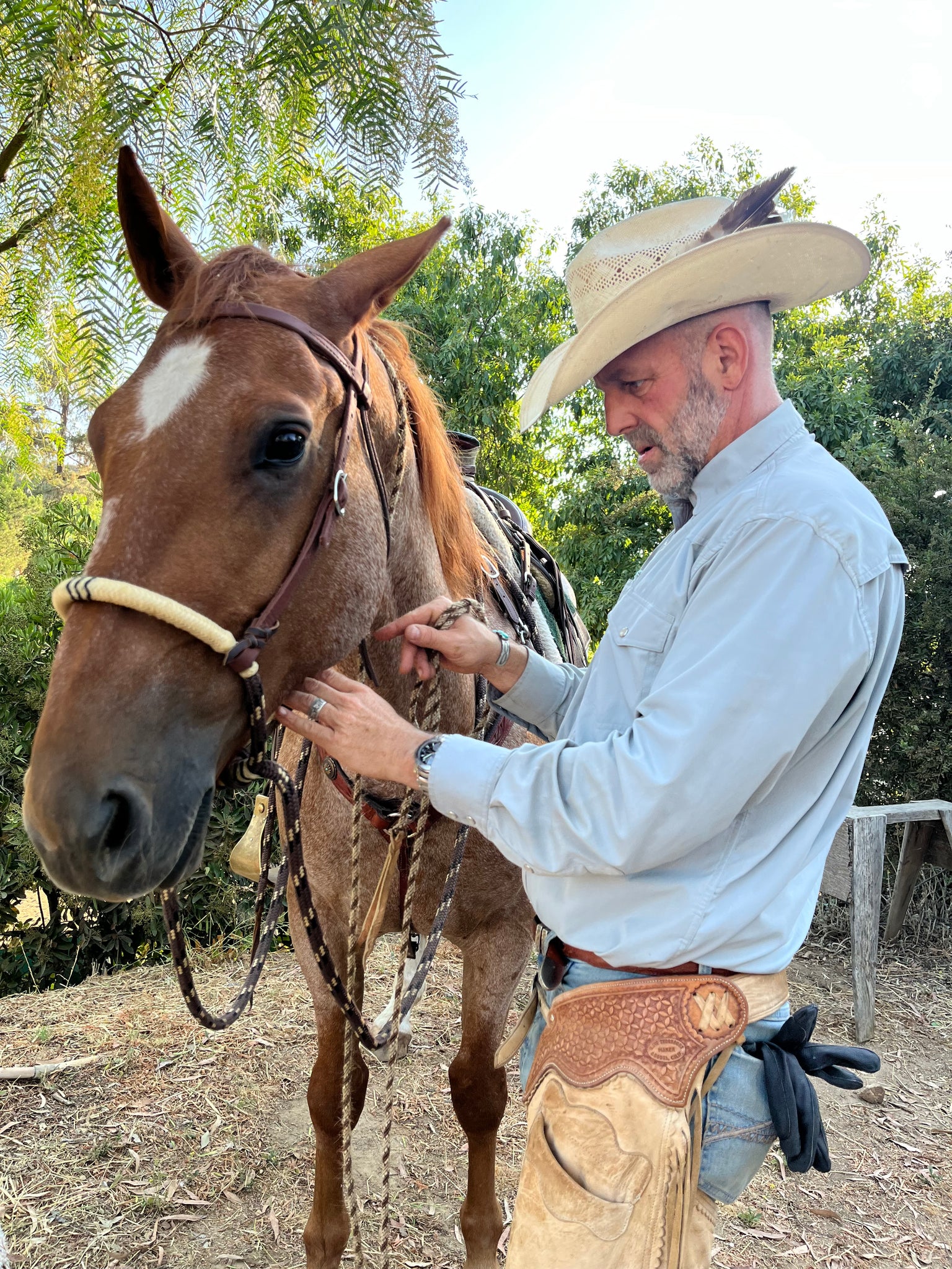 Leather Hackamore Horse Bit – Bitless, Adjustable For English & Western Riding