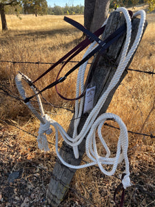 A Hackamore Set - Entry Level