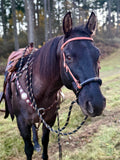 Loping Soft Nose Hackamore Set