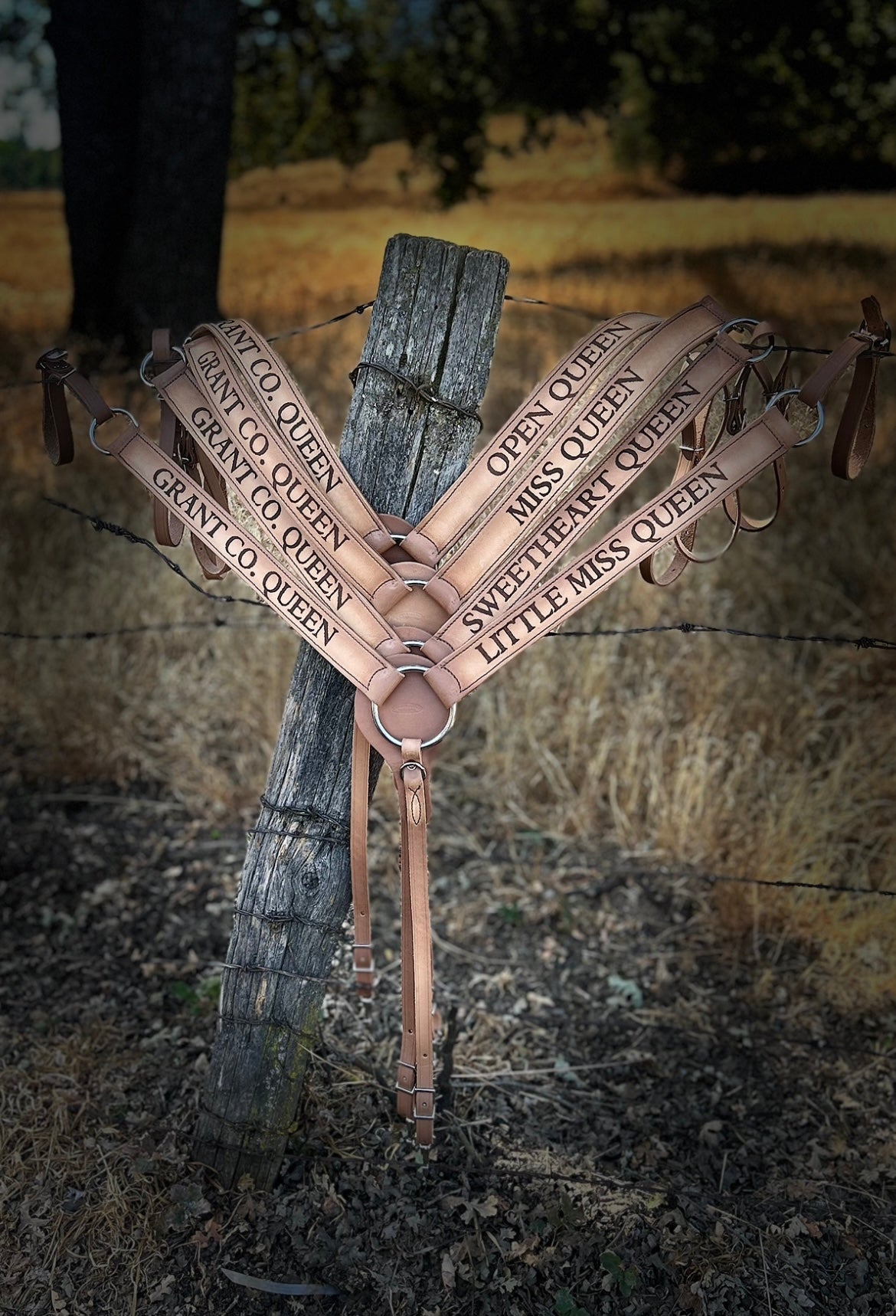 Award Headstalls, Hermann Oak® Leather – Buckaroo Leather Products