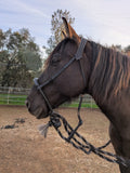 Bishop Bosal Hanger Headstall