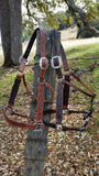 A Wild Rose Halter