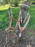 Gucci style Buckaroo Signature Headstall Set