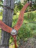 A Concha Center Breast Collar