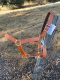 Draft Horse Halter