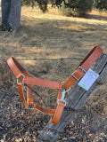 Draft Horse Halter
