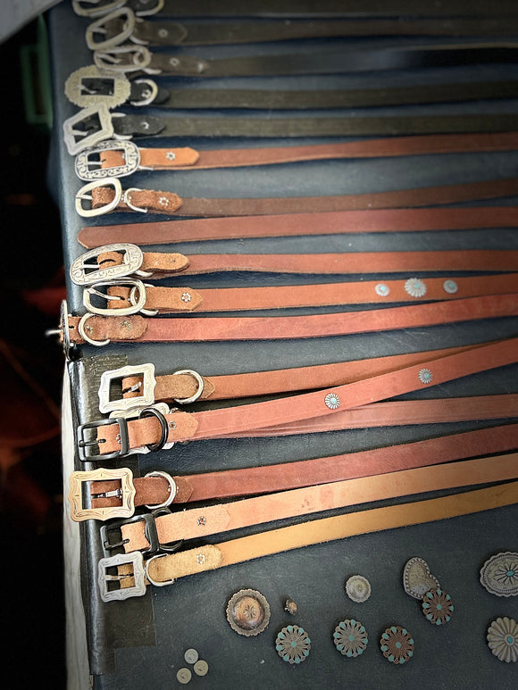 Dog Collars