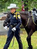 Custom mounted Police tack